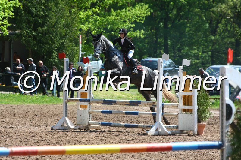 104M8258_SpringWB E.JPG